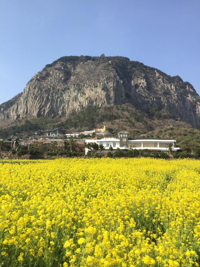 Jeju Moseulpo Hotel Seogwipo Exterior foto